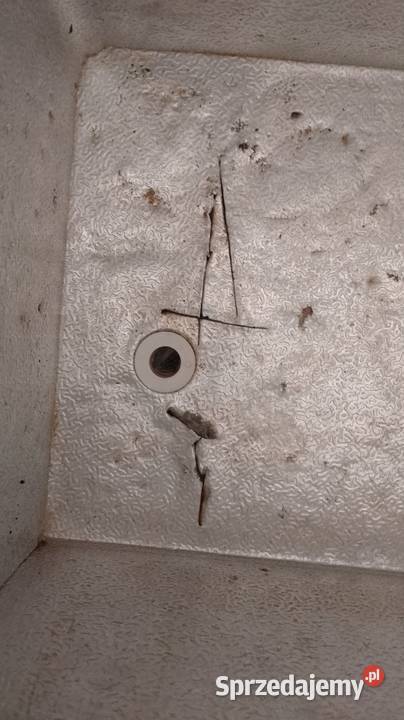 Szafa chłodnicza podblatowa Forcar 60x60 Wrocław