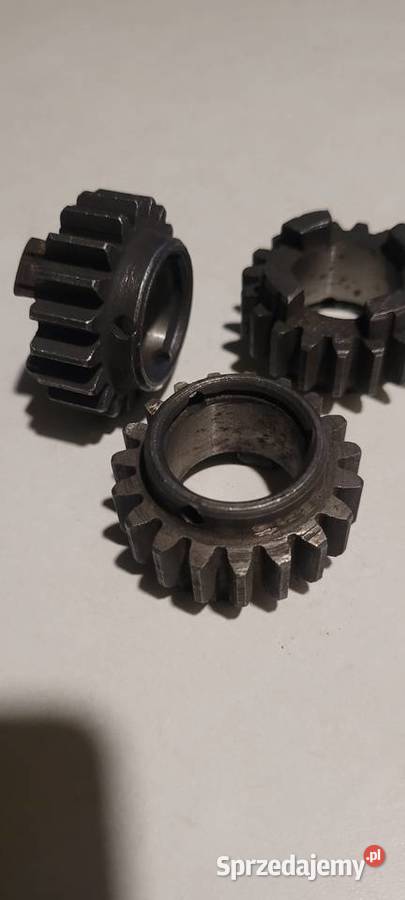 Wsk 175 koło 19z kujawsko-pomorskie