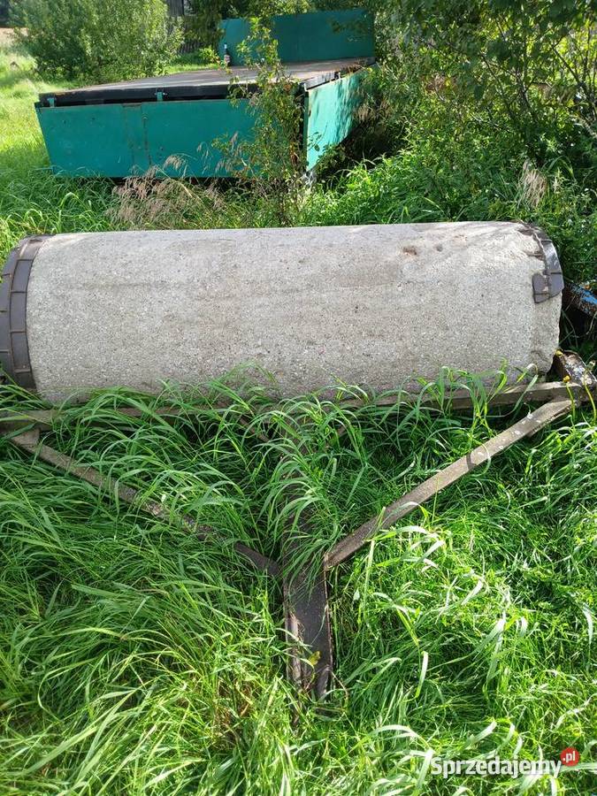 Wal łakowy Pozostałe Stary Kobrzyniec