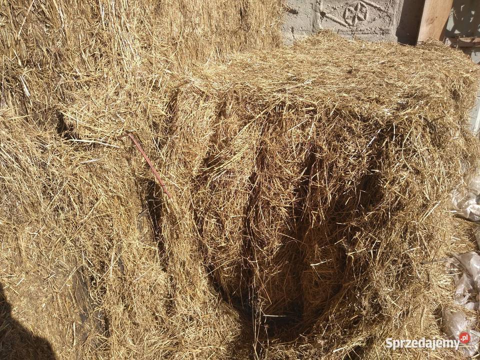 Siano duża kostka Trawy, słoma Zambrów