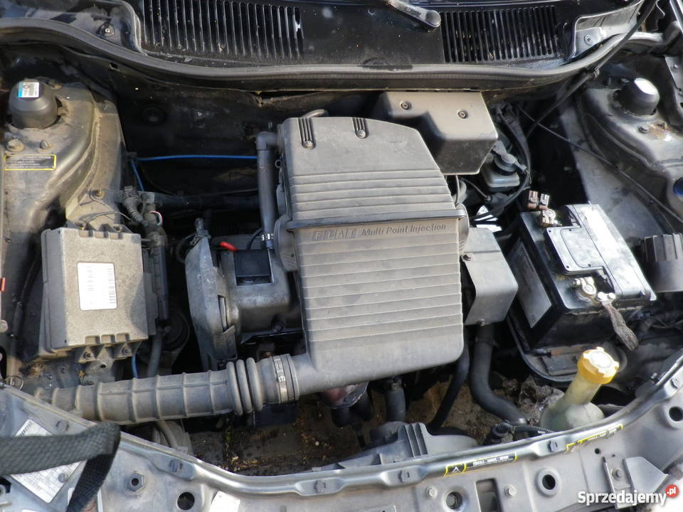 Fiat Punto 75 Zarejestrowany w Polsce dolnośląskie Wrocław