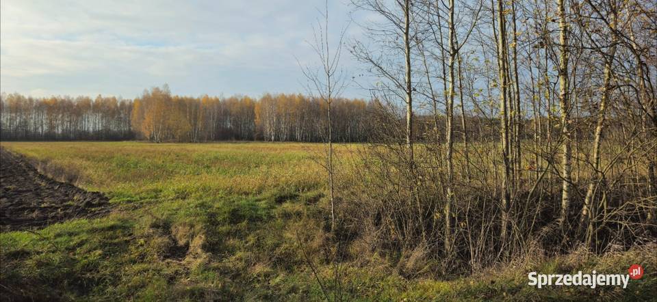 Działka bud 2600M2 Nowa Wola gm Jedlińsk