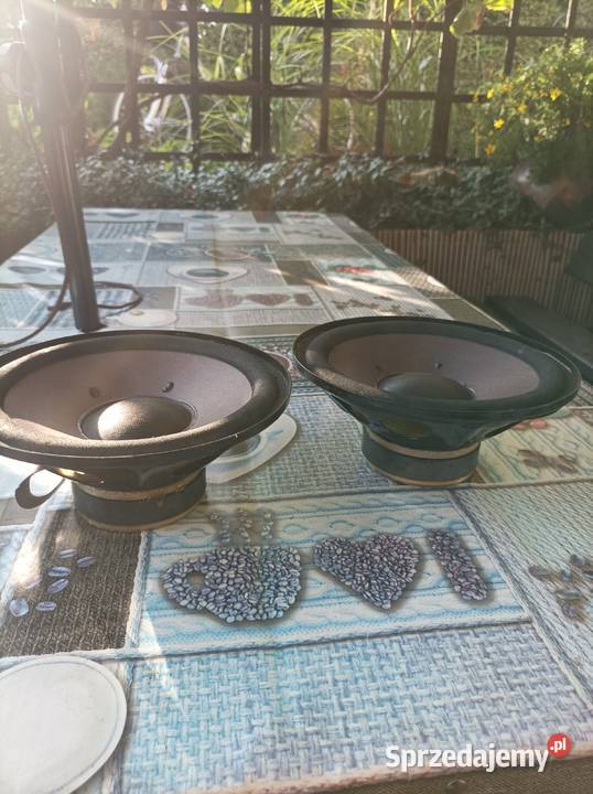 Akai głośniki niskotonowe 30W 20 Japan Płock