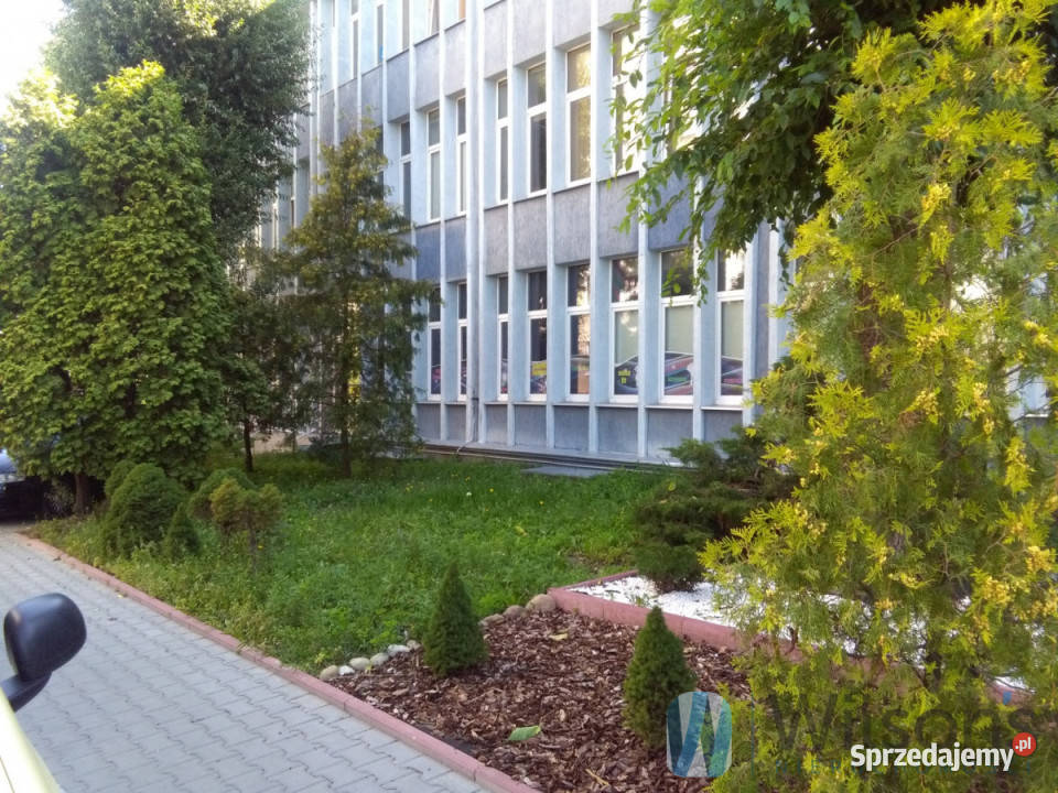 Lokal wynajmę 80 metrów Radom Wynajem