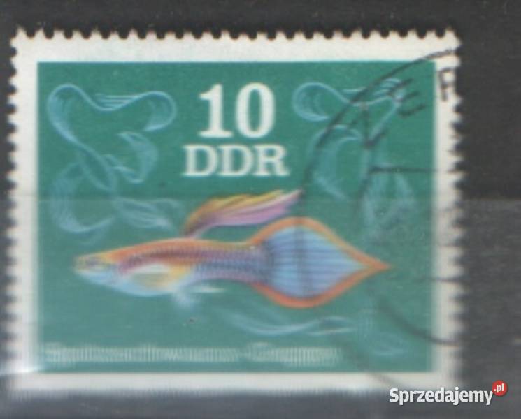 Zn NRD Mi 2111 22 34 5 41 62 9 76 kas 1976 Gliwice sprzedam