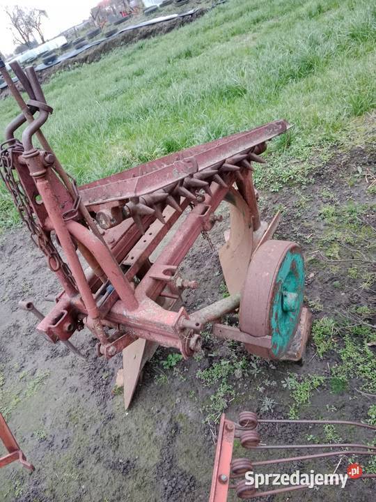 Sprzedam pług 2 skibowy Szurkowo