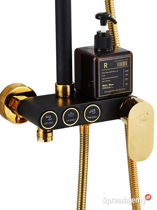 Deszczownica regulowana 170200 mosiądz czarno Łódź