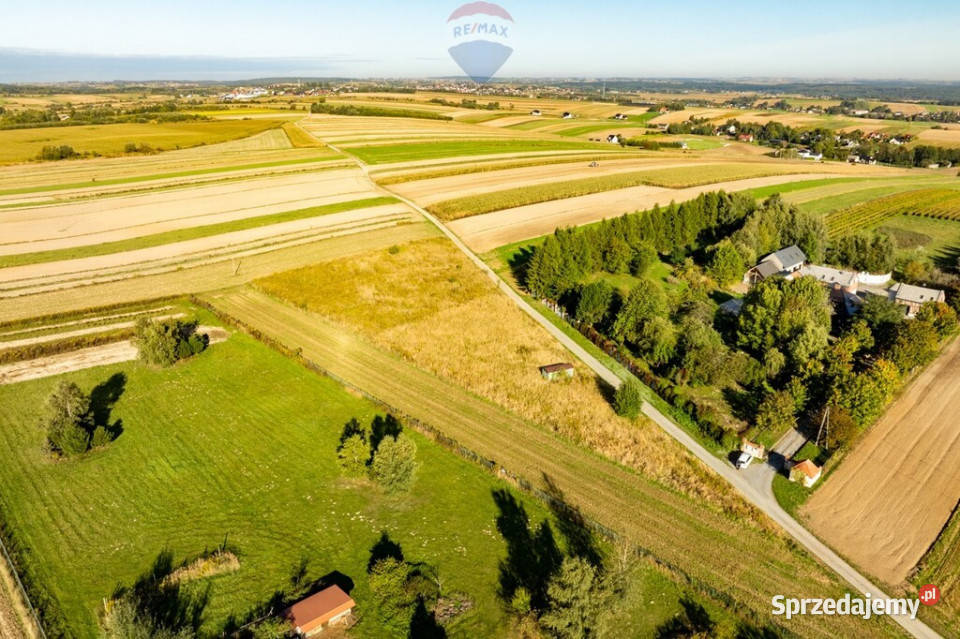 DZIAŁKA SKAŁA Skała