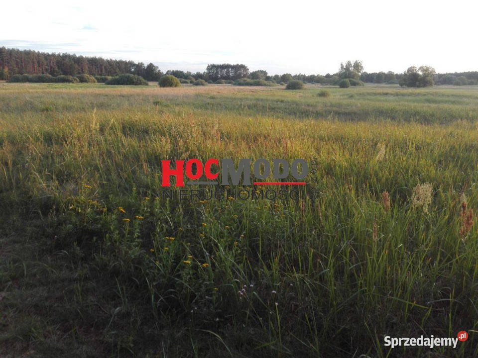 Działka budowlana Kałuszyn