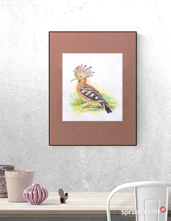 ptaszek plakat a3 retro plakat 30x40 ptak obraz odcienie brązowego Opole