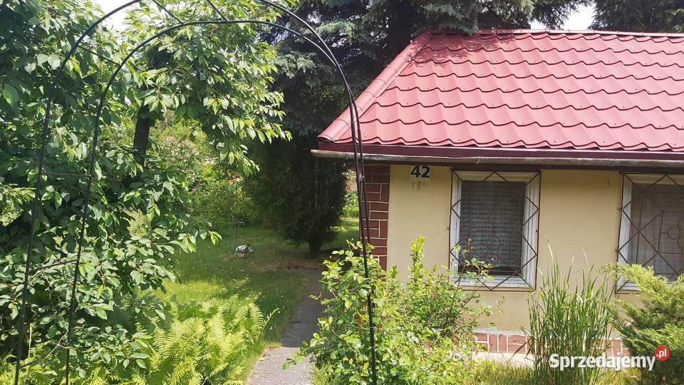 Działka rekreacyjna ROD Kraków Dąbie rekreacyjna