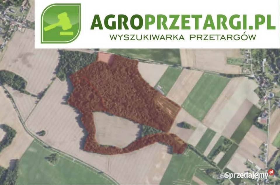 Dzierżawa 868 ha gruntu rolnego Wynajem Trzebnica