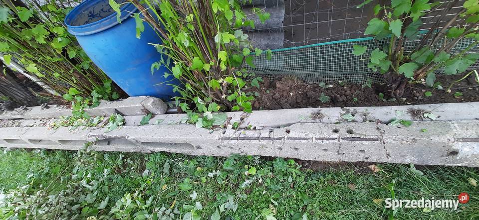 Słupy betonowe Tomaszów Lubelski