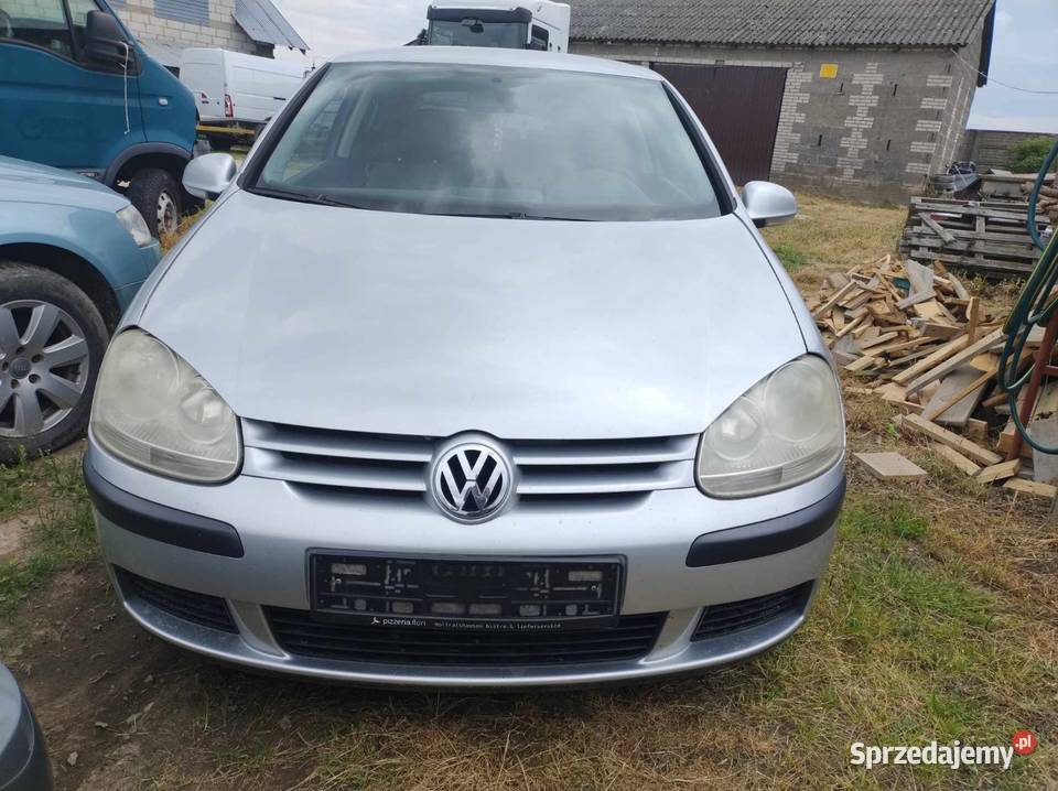 Golf 5 Konie