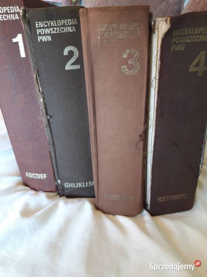 Encyklopedia powszechna 1985 Łowicz