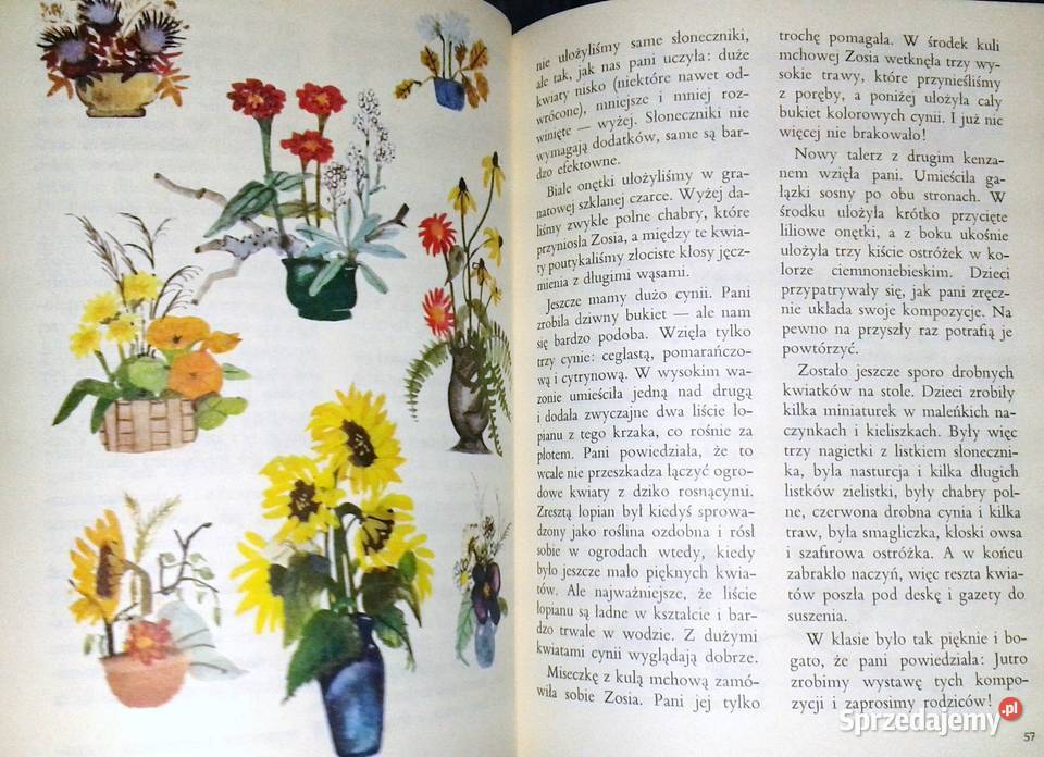 Razem ze słonkiem Złota jesień 4 Maria Kownacka Chełm