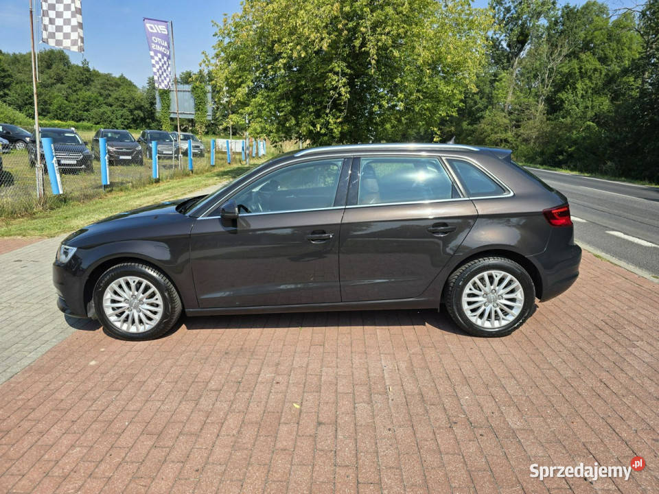 Audi A3 Audi A3 16 tdi Sportback 110 z niskim tempomat Cielcza