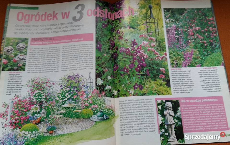 Mój piękny ogródPnącza zawsze górąCzasopismo Łódź