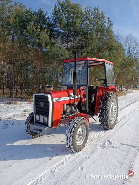 Massey Ferguson MF255 remoncie wspomaganie nowe Burzenin