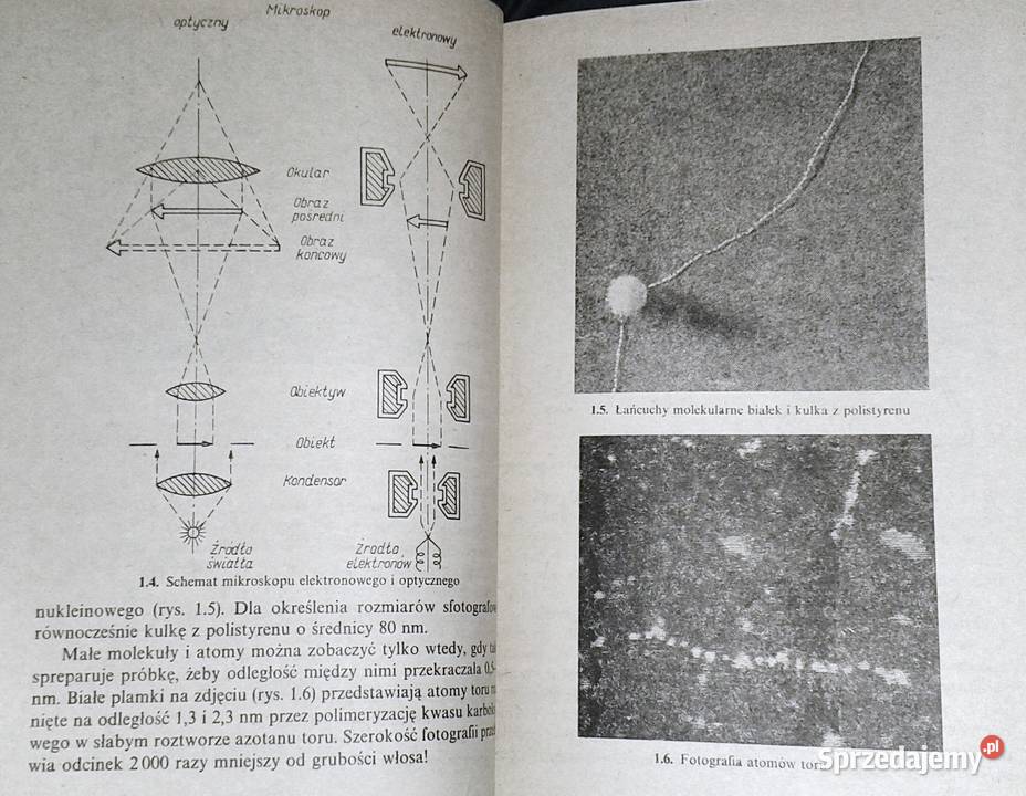Molekularna budowa ciał A Januszajtis J