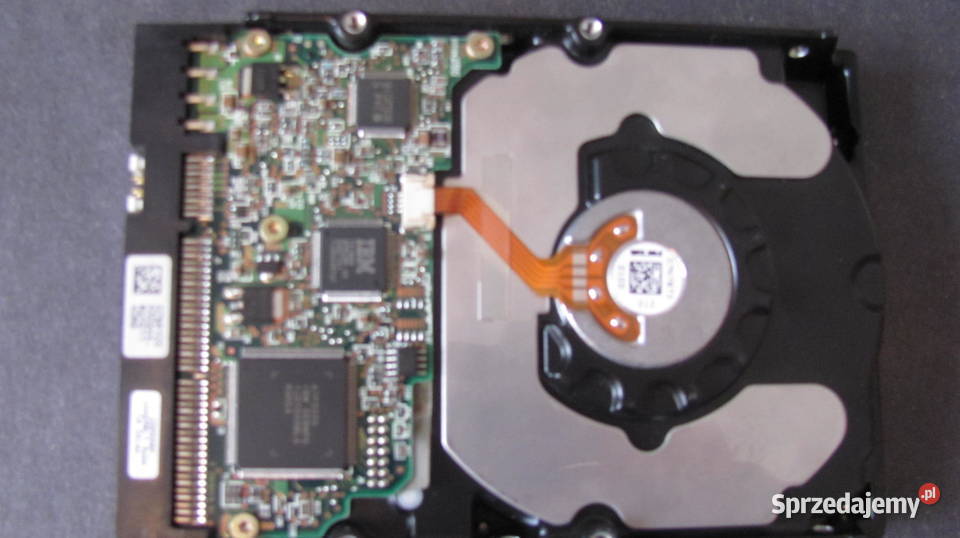 Dysk Twary IBM IC35L060AVVA070 Piotrków Trybunalski