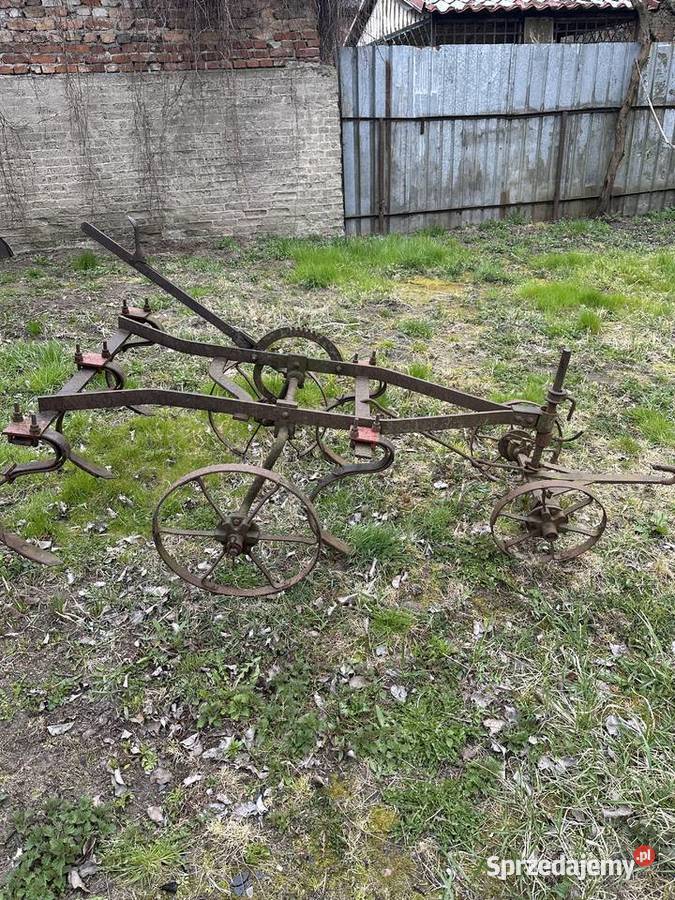 Kultywator konny Chojna sprzedam