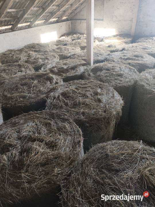 Sprzedam siano łódzkie Piątek
