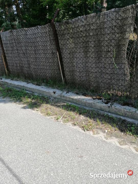 Nieruchomość Syndyka Józefów Wiązowska