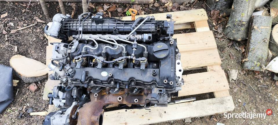 Silnik na części 16 crdi 136 Euro 6 Silniki kompletne Motoryzacja Kłodzko