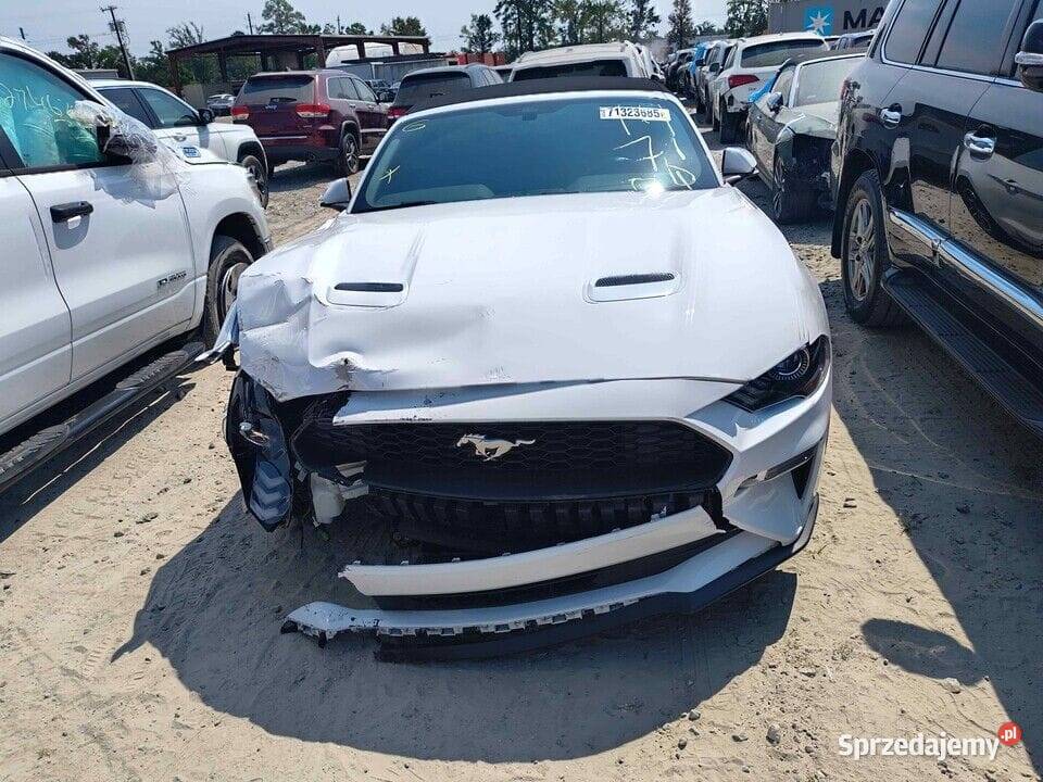 Ford Mustang 23 Ecoboost CABRIO 2020 w drodze do 310KM dolnośląskie Żórawina