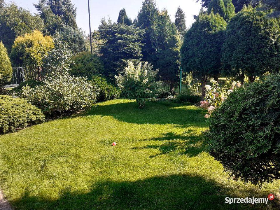 Sprzeda prawo do działki ROD Kajetany