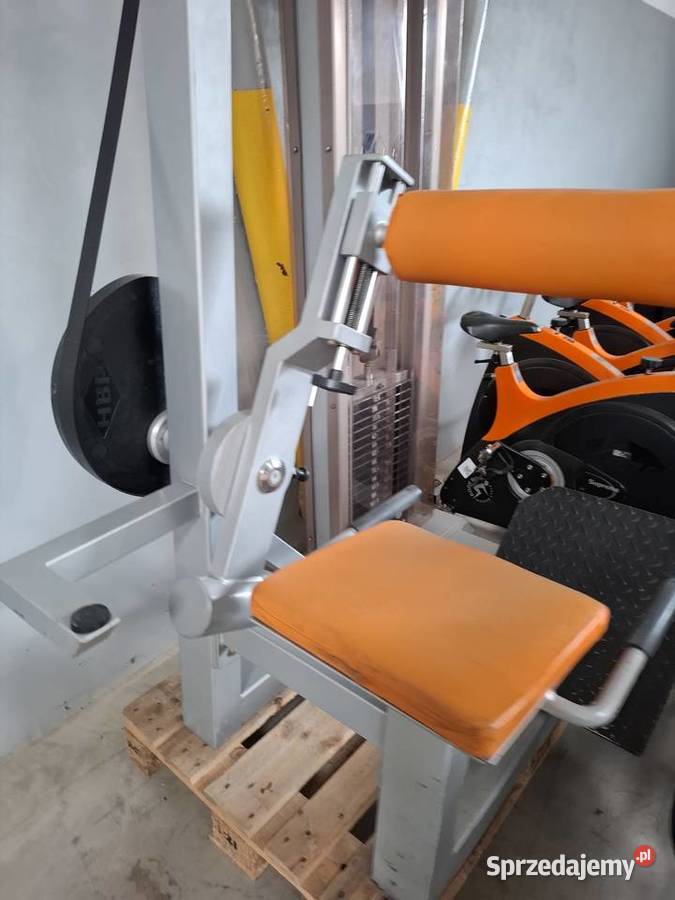 Profesjonalna maszyna na prostowniki pleców