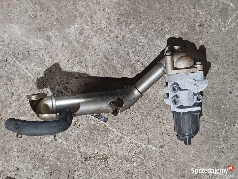 Kia Carnival 29 crdi egr Nowy Tomyśl