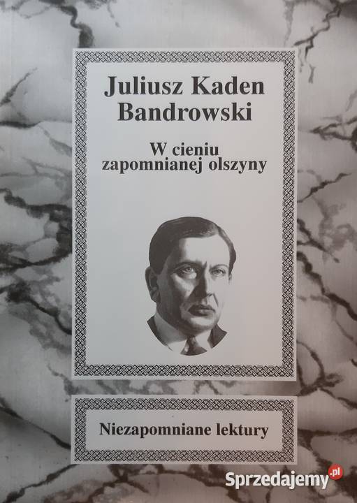 W cieniu zapomnianej olszyny Juliusz ISBN 8390450356 Warszawa