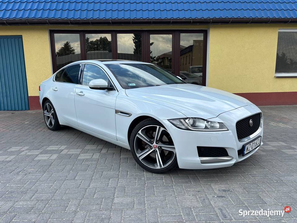 Jaguar XF 20d 2015r Biała Perła OKAZJA Zamość