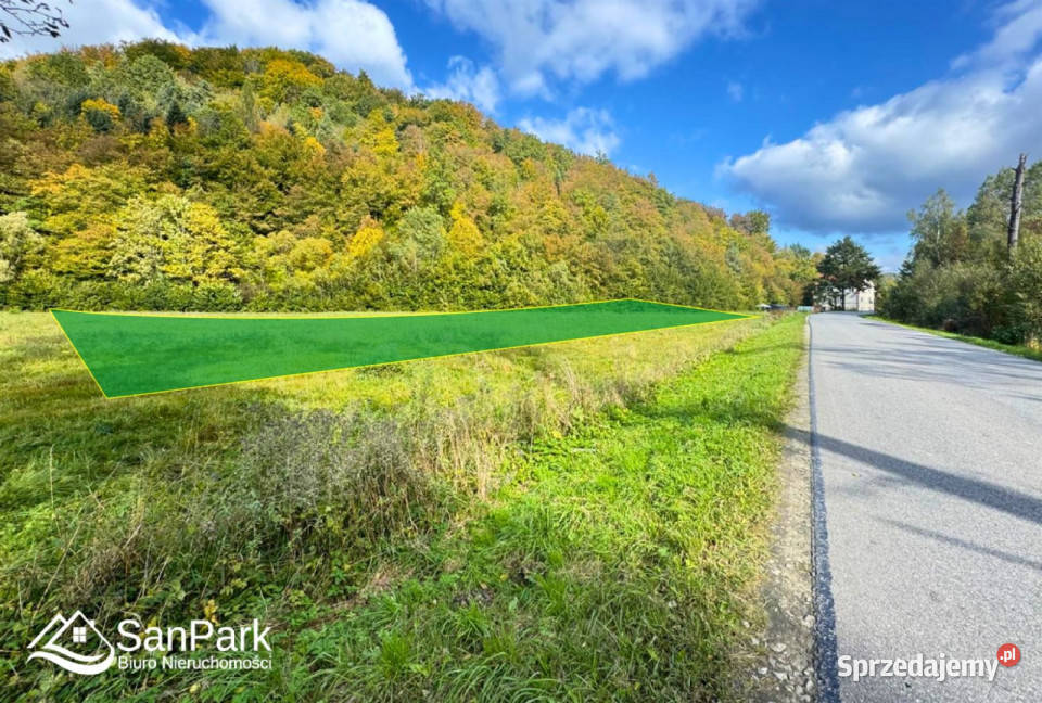 sprzedaży gruntu Wołkowyja 2500m2 110zł/m2 podkarpackie