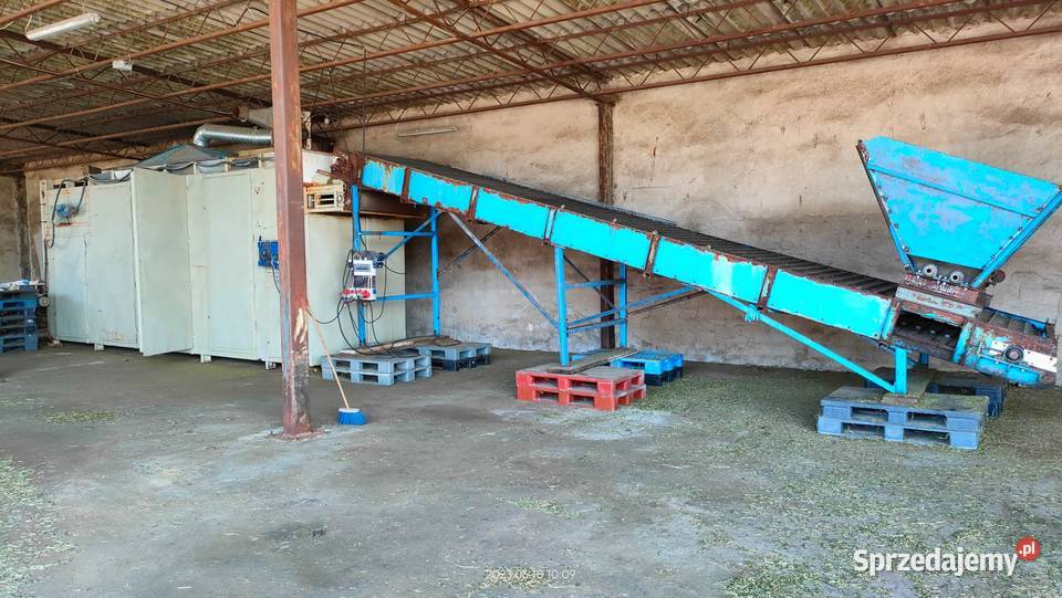 Suszarnia taśmowa trzy poziomowa Środa Wielkopolska
