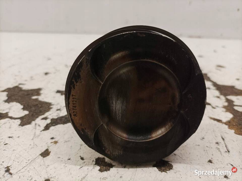 TŁOK KORNOWÓD 1295 64 0834135 16 CGI