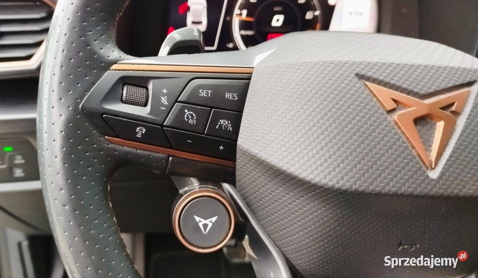 Cupra Formentor 20 TSI 310 VZ FV 23 radio Dąbrowa Górnicza