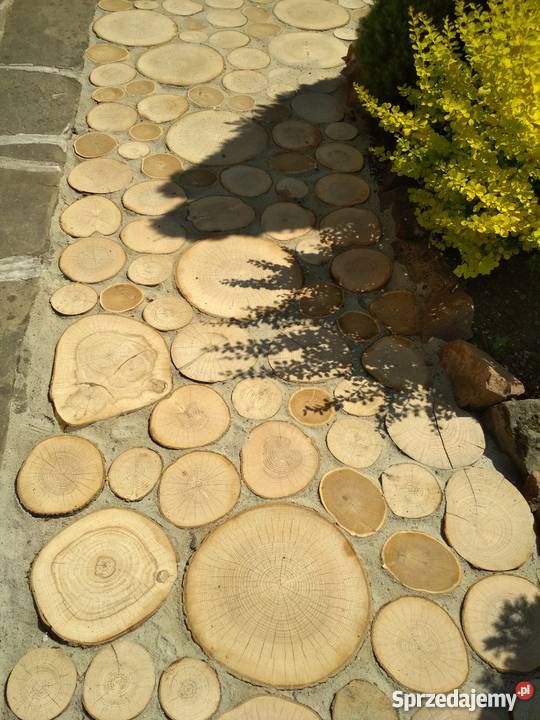 Bruk drewniany kosta drewniana pieńki plastry do małopolskie Izdebnik