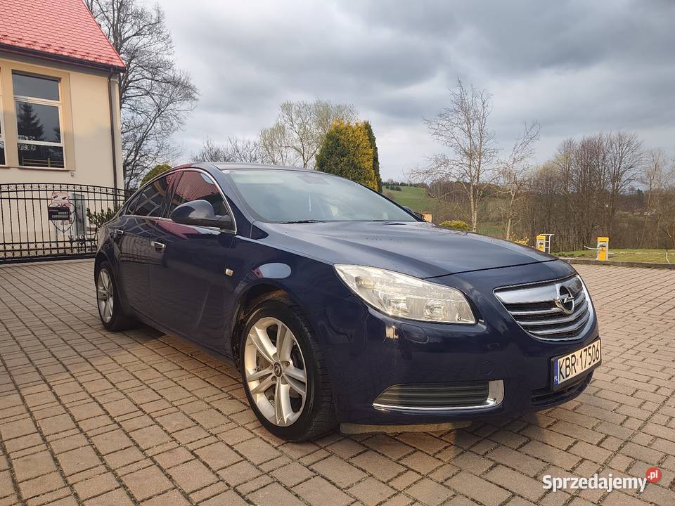 Opel Insignia 2009 20 CDTI małopolskie Bistuszowa