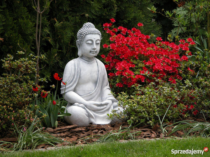 Piękna Figura Ogrodowa Buddy S135 Architektura ogrodowa Nowa Sól