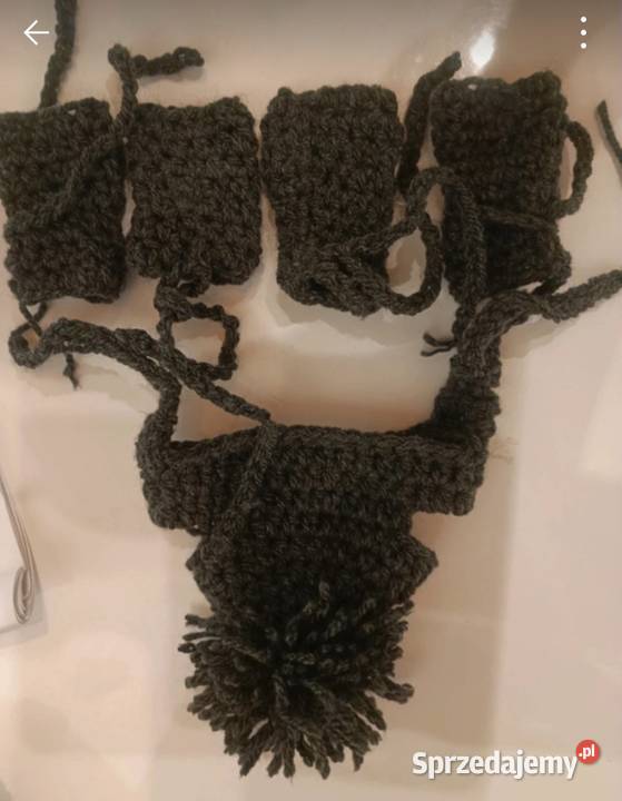 Komplecik chihuahua lubelskie