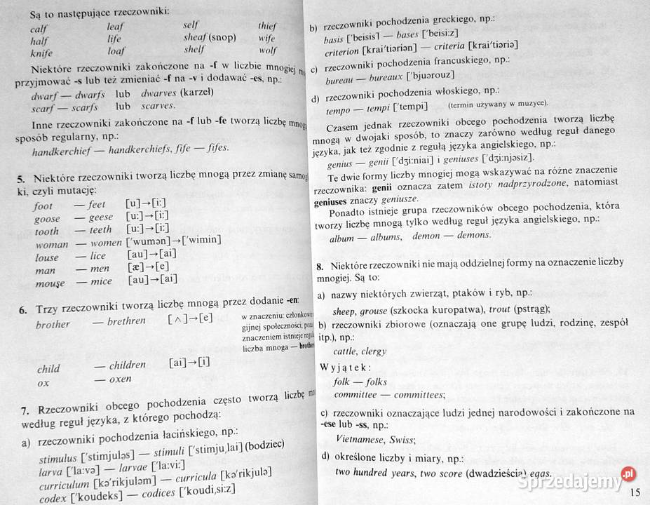 Mała gramatyka języka angielskiego z ćwiczeniami