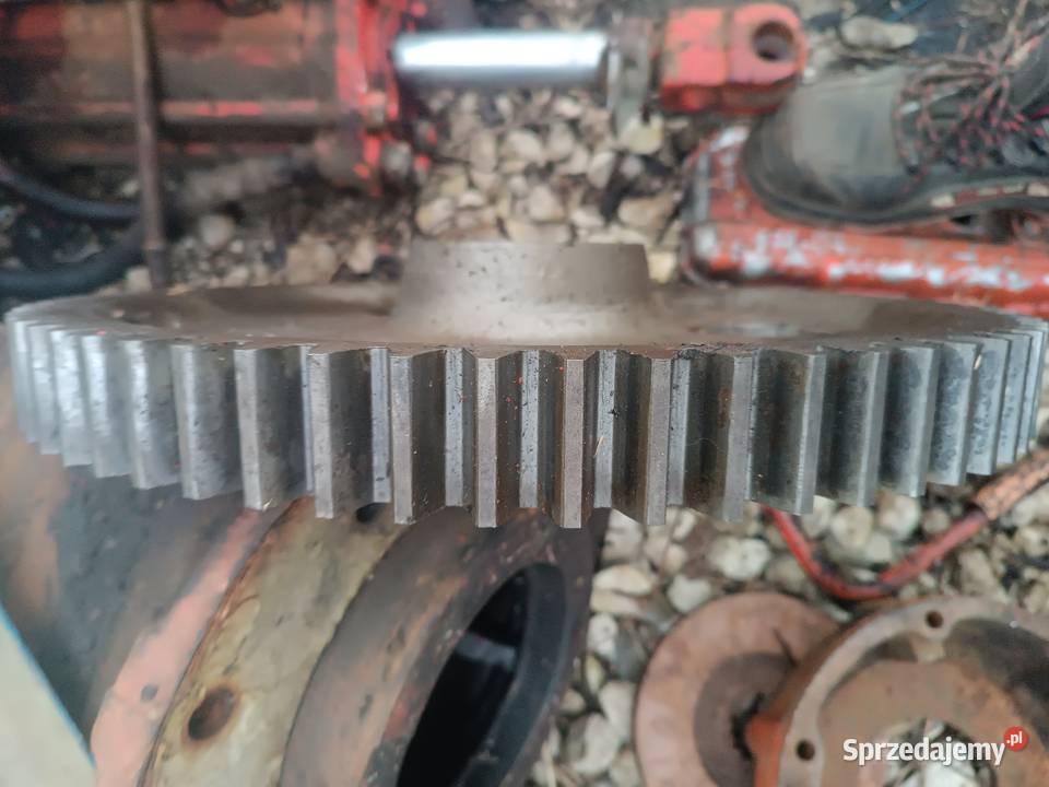 Koło zwolnicy MTZ ORYGINAŁ Busko-Zdrój sprzedam