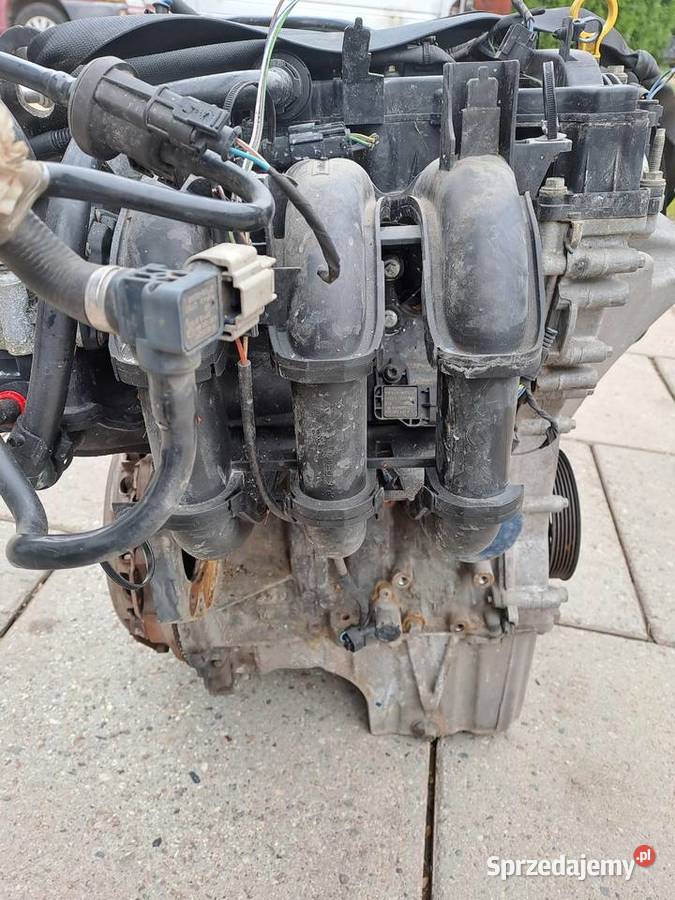 Ford Fiesta MK7 10 12V skrzynia biegów Jastrzębie-Zdrój sprzedam