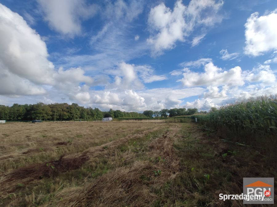 Działka Buniewice 1000m2