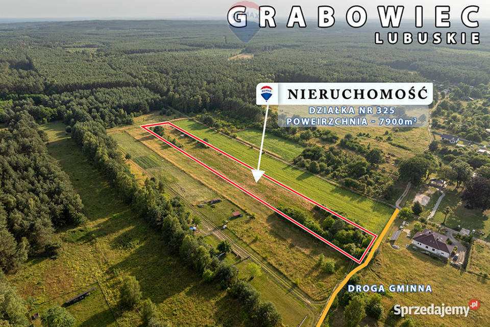 Na sprzedaż działka rolna 7900 m2 pod lasem Grabowiec sprzedam