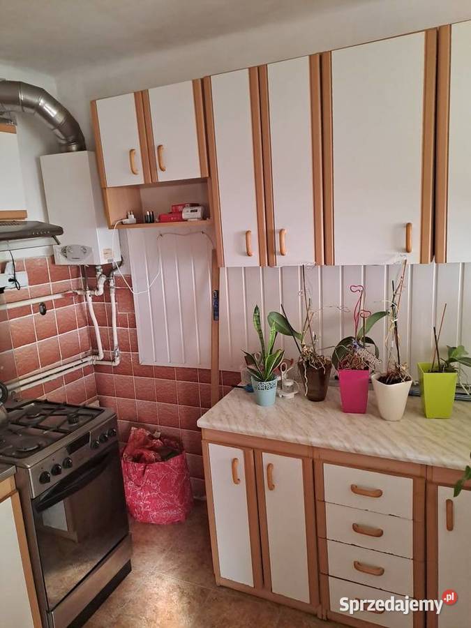 Mieszkanie 49 m2 3 pokoje Mińsk Maz parterowy Mińsk Mazowiecki