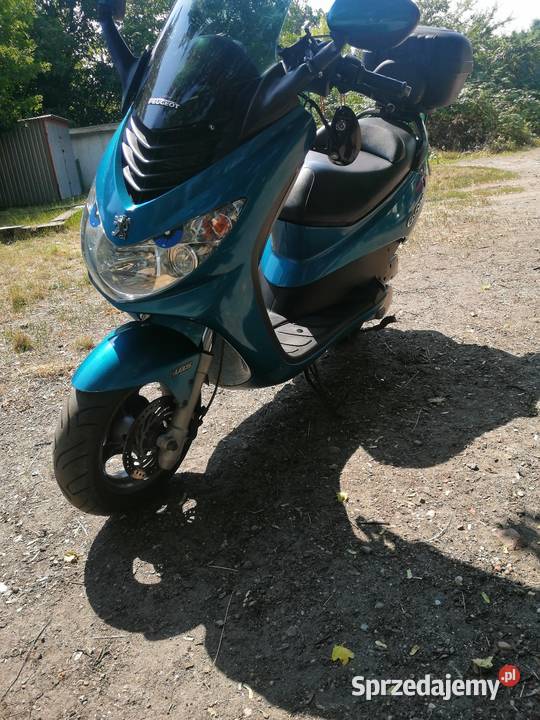 12550 Peugeot elystar 125 50 na Dowód Pozostałe opolskie Brzeg sprzedam